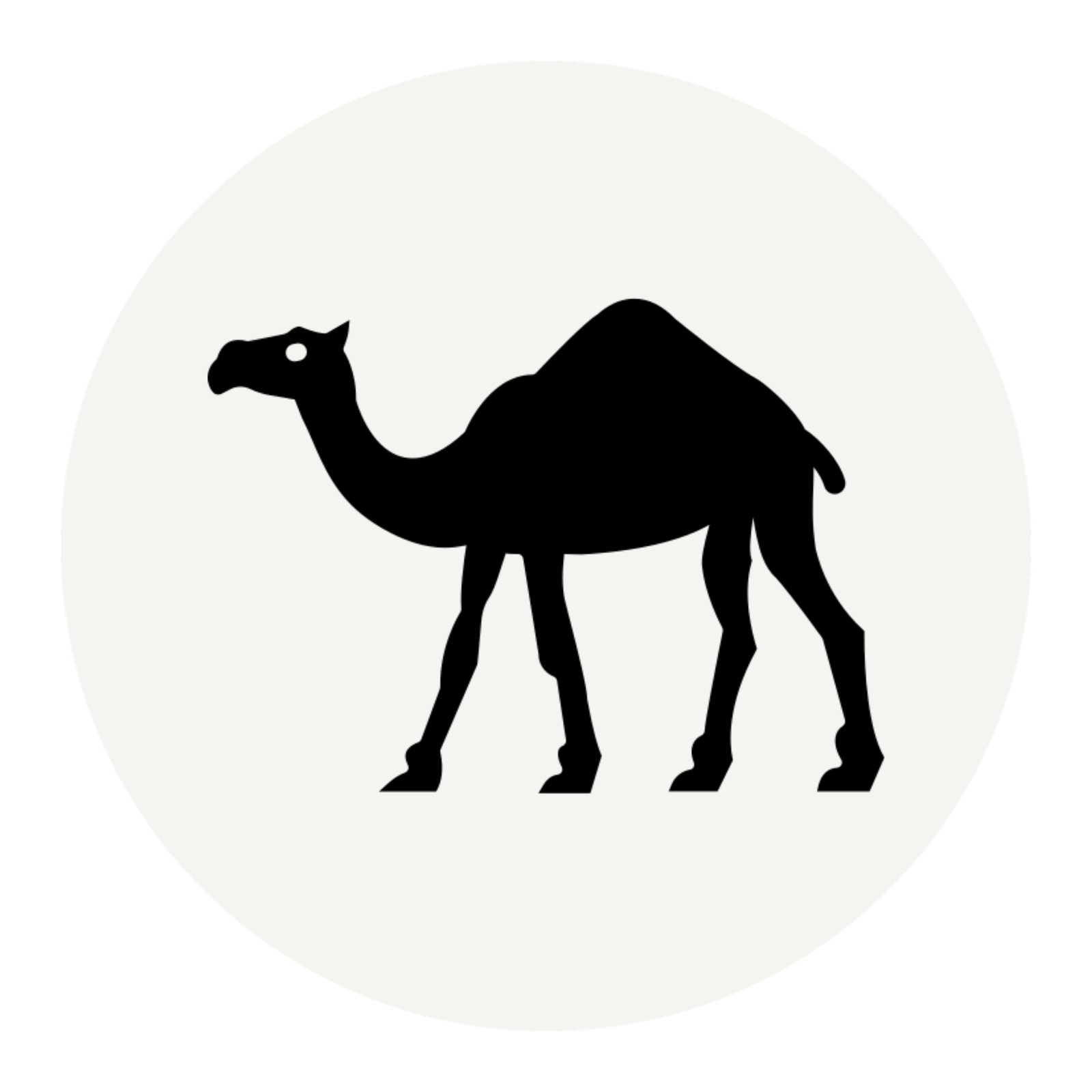 Camel Safari
